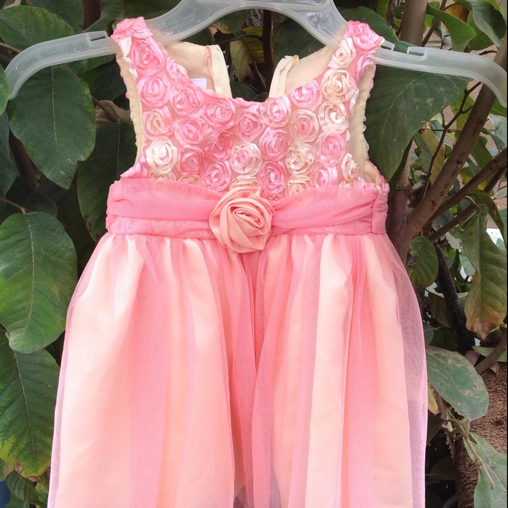 18 Months Pink & Gold dress